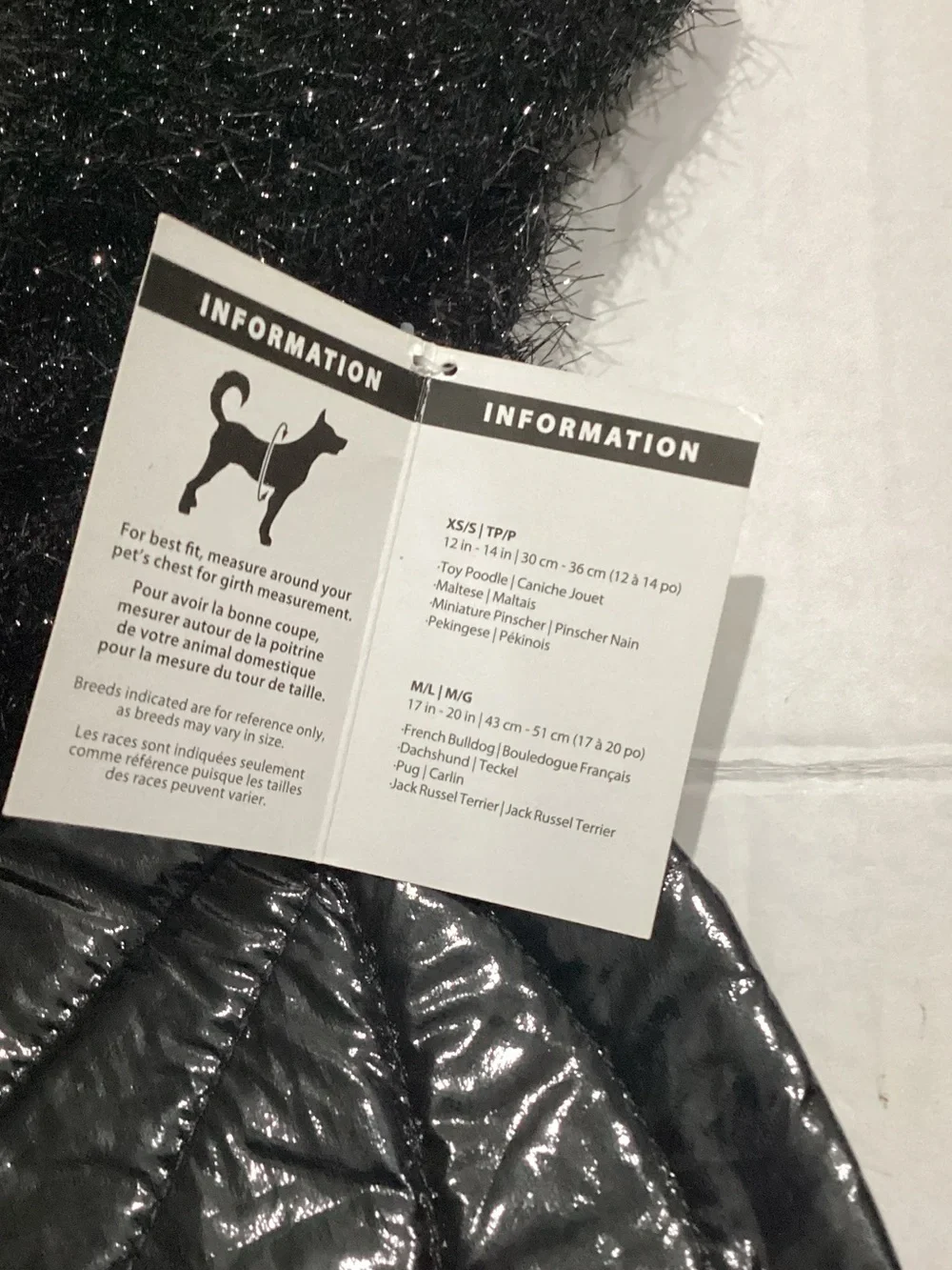 party dog shiny black
